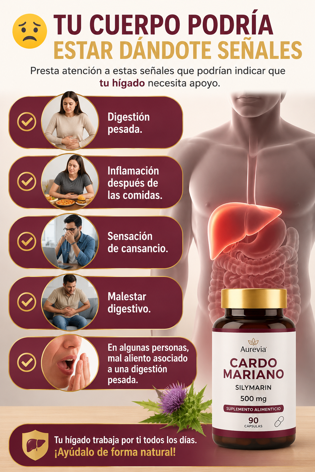 💚 Cardo Mariano 500 mg Premium | Apoya la Salud de tu Hígado +